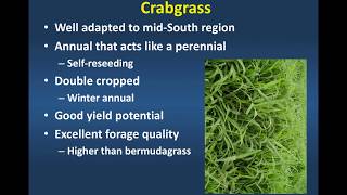 Extending Grazing Crabgrass [upl. by Ainegue]