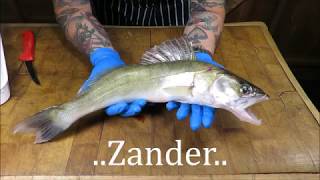 How To Prepare And Cook A Zander Doom Bar Battered Zander SRP [upl. by Petta297]