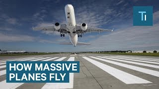 How Massive Airplanes Take Off And Stay In Midair [upl. by Graig]