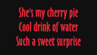 WarrantCherry Pie Lyrics [upl. by Anaitit389]