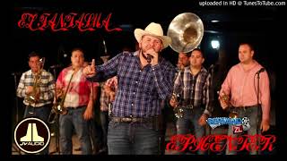 el fantasmacon banda y tuba mix epicenter by jv [upl. by Naicad]