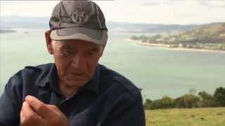 Marae went to Hokianga to find out where Ngapuhi is going [upl. by Nnhoj]