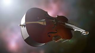 Relaxing Violin amp Cello Music 🎻 Instrumental Classical Study [upl. by Eiramanit343]