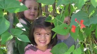 Playgrounds to Outdoor Learning Environments [upl. by Asante371]