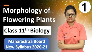 Morphology of Flowering Plants Class 11th Biology Part 1 [upl. by Inan]