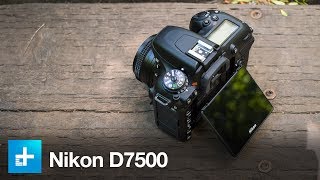 Nikon D7500  Hands On Review [upl. by Mareld822]