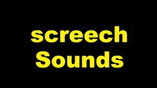 Screech Sound Effects All Sounds [upl. by Omora108]