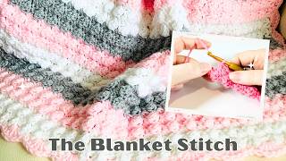 How to Crochet the Blanket Stitch EASY Crochet Tutorial [upl. by Euqimod]