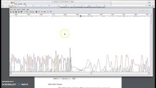 Analyzing DNA Sequences Using MEGA amp BLAST [upl. by Secnarfyram]