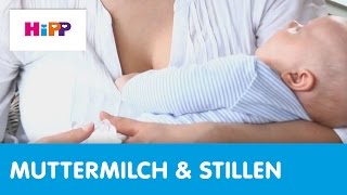 HebammenTipps Stillen Milchstau HiPP Ratgeber [upl. by Licko]