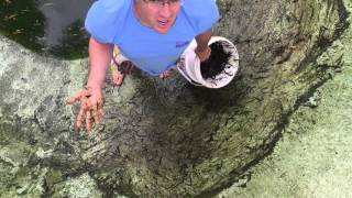 Hitting the Reset Button How to drain and clean out your pool [upl. by Akemrej]