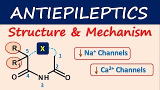 Antiepileptics Structure and mechanism [upl. by Sirtemed]