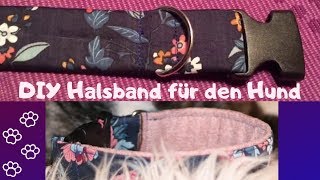 DIY Hundehalsband 🐶  Schwarzwaldnasen [upl. by Mali874]