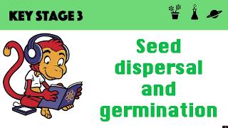 Germination and seed dispersal [upl. by Yllah588]