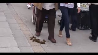 Man Steps In Horse Poop in Montreal  Abdul Butt [upl. by Mayrim]