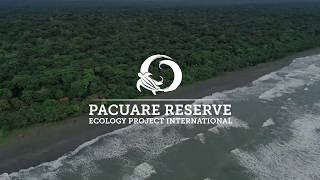 Reserva Pacuare Costa Rica [upl. by Nairbo187]