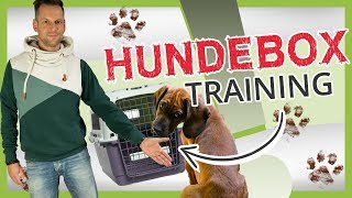 HUNDEBOXTraining Eingewöhnung Training und richtige Verwendung [upl. by Zorah]