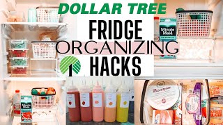 REFRIGERATOR ORGANIZATION  DOLLAR TREE Organization Hacks 2020 🥫 [upl. by Langsdon]