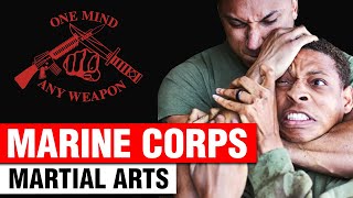 Marine Corps Martial Arts Program MCMAP [upl. by Annahsirhc189]