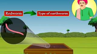 Vermicomposting  Macmillan Education India [upl. by Sewoll]