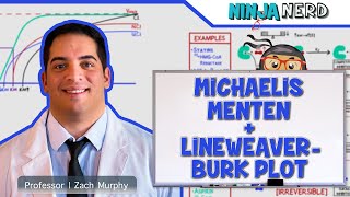 Biochemistry  Michaelis Menten amp LineweaverBurk Plot [upl. by Ahseina]