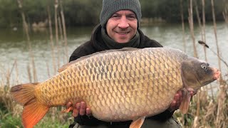 COKING FARM OAK LAKE PROPER BIG CARP CAUGHT [upl. by Ailito350]