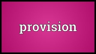 Provision Meaning [upl. by Narrat]