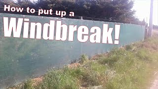 How to put up a Wind Break  windbreak for lifestyle block [upl. by Hogle]