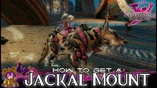 Guild Wars 2  How to get a Jackal Mount [upl. by Stratton]