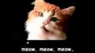 Official Meow Mix Commercial wLyrics [upl. by Akisey144]