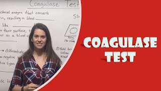 Coagulase Test [upl. by Roshelle]