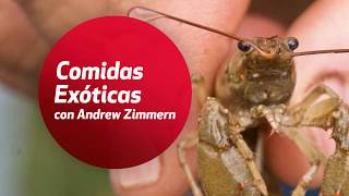 Comidas Exóticas con Andrew Zimmern [upl. by Ratcliffe]