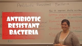 Antibiotic Resistant Bacteria [upl. by Knutson664]