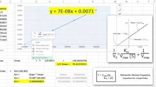 LineweaverBurke Plots in Excel [upl. by Aloysia51]