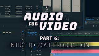 How to Edit Audio  Audio for Video Part 6 [upl. by Annatsirhc439]