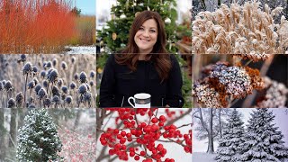 Planting for Winter Interest for Beginners 🌲🌾❄️  Garden Answer [upl. by Yromas299]