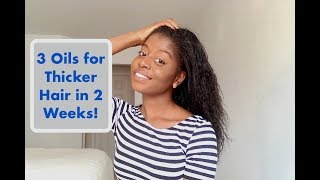 3 Oils to Get Thicker Hair Really Fast [upl. by Cilurzo28]