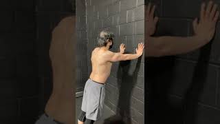 Wall Serratus Anterior Pushup [upl. by Iknarf941]