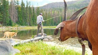 Old Dog  New Tricks Fly Fishing Secret Spots in Utah  Firebox Stove Firepit Catch and Cook [upl. by Ginnifer]