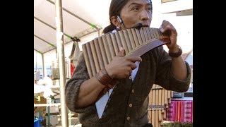 Raza Inka Pan Flute [upl. by Ytsihc21]