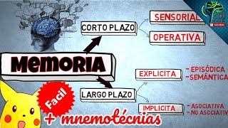 MEMORIA A CORTO PLAZO Y SUS TIPOS  FACIL CON EJEMPLOS [upl. by Nido208]