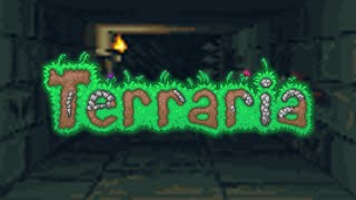 Terraria OST  Dungeon Extended [upl. by Nayllij]