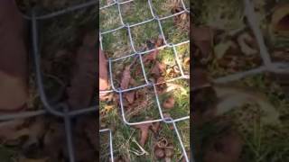 DIY Tip How to seam or splice chain link Fence together [upl. by Brinkema327]