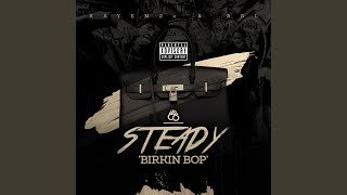 Steady Birkin Bop [upl. by Wooster]