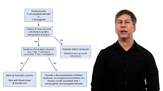 An Approach to Jaundice [upl. by Kila]