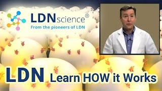 LDNscience® Presents  How LDN Low Dose Naltrexone Works [upl. by Yerhpmuh]