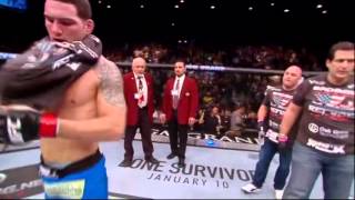 Full FIGHT VIDEO CHRIS WEIDMAN vs ANDERSON SILVA 2 28122013 [upl. by Lindberg425]