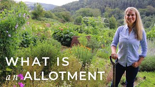 What is an Allotment [upl. by Shelba464]