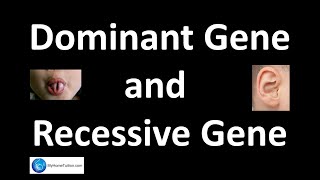 Dominant Gene and Recessive Gene  Genetics  Science [upl. by Anyrb]