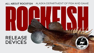 Rockfish Release Devices [upl. by Akaenahs]